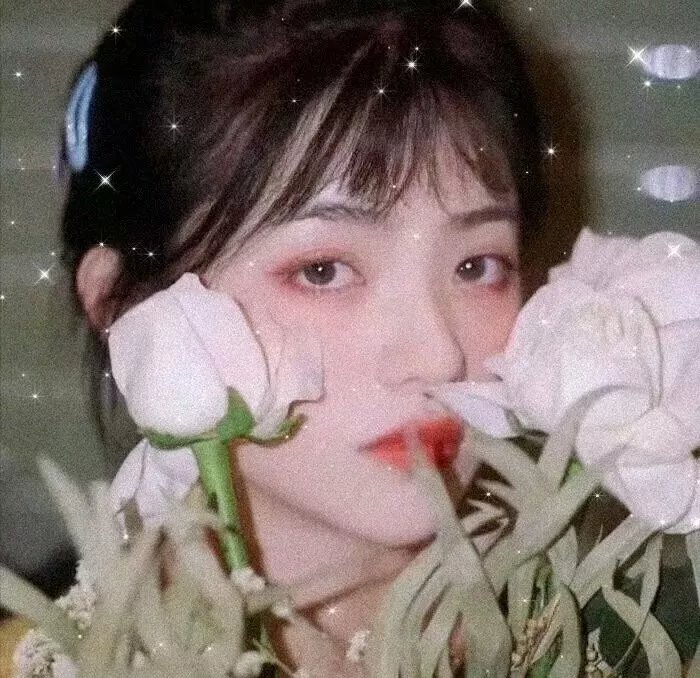面纱之下