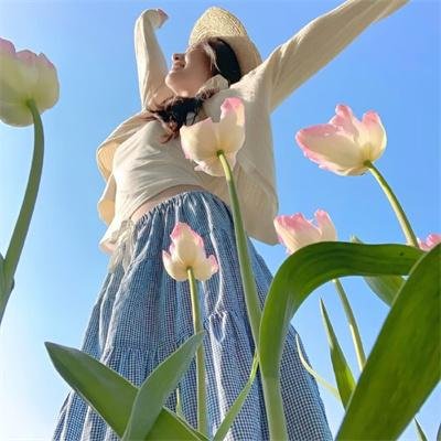 布里斯营